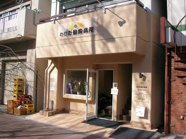 早稲田 動物病院